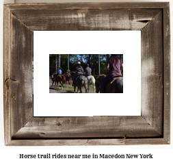 horse trail rides near me in Macedon, New York